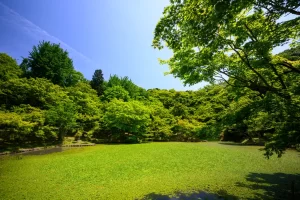 ホームページを公開しました。